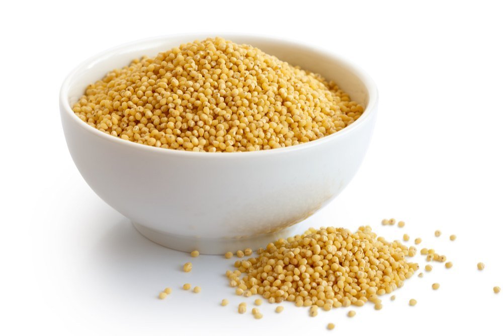 Foxtail millet